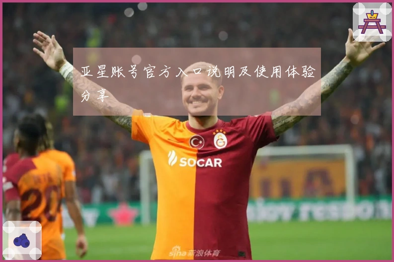 亚星账号官方入口说明及使用体验分享